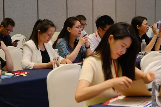 图示, 示意图 中度可信度描述已自动生成:ver1